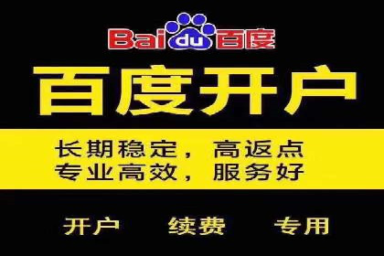 搜索引擎关键词竞价排名的策略调整与案例